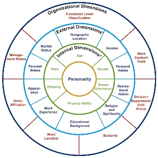 diversity cultural inclusion wheel chart resources office cg dimensions management rowe identity agility work gender organizational human services health teams