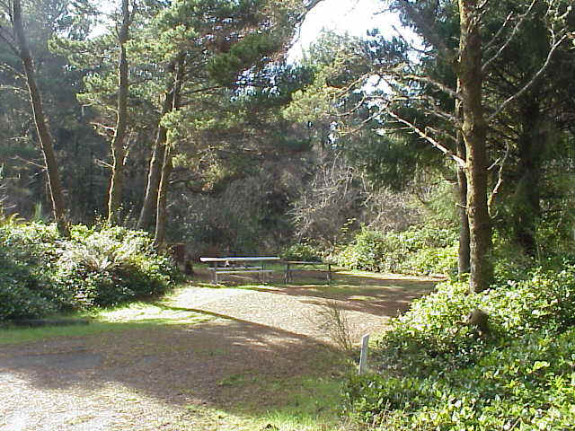 Westport Camp Spot