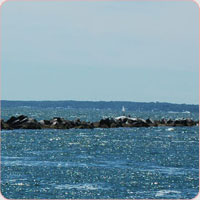 cape cod water