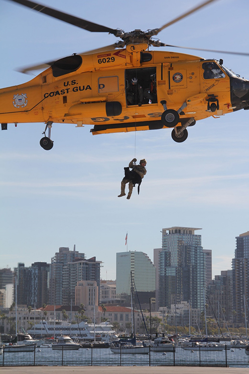 K9 mission