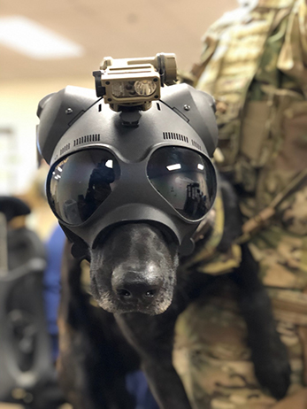 Research and Development Center tests safety gear to protect four
